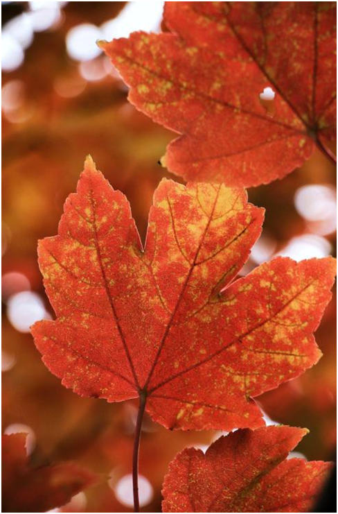 1669660719138281.png image.png