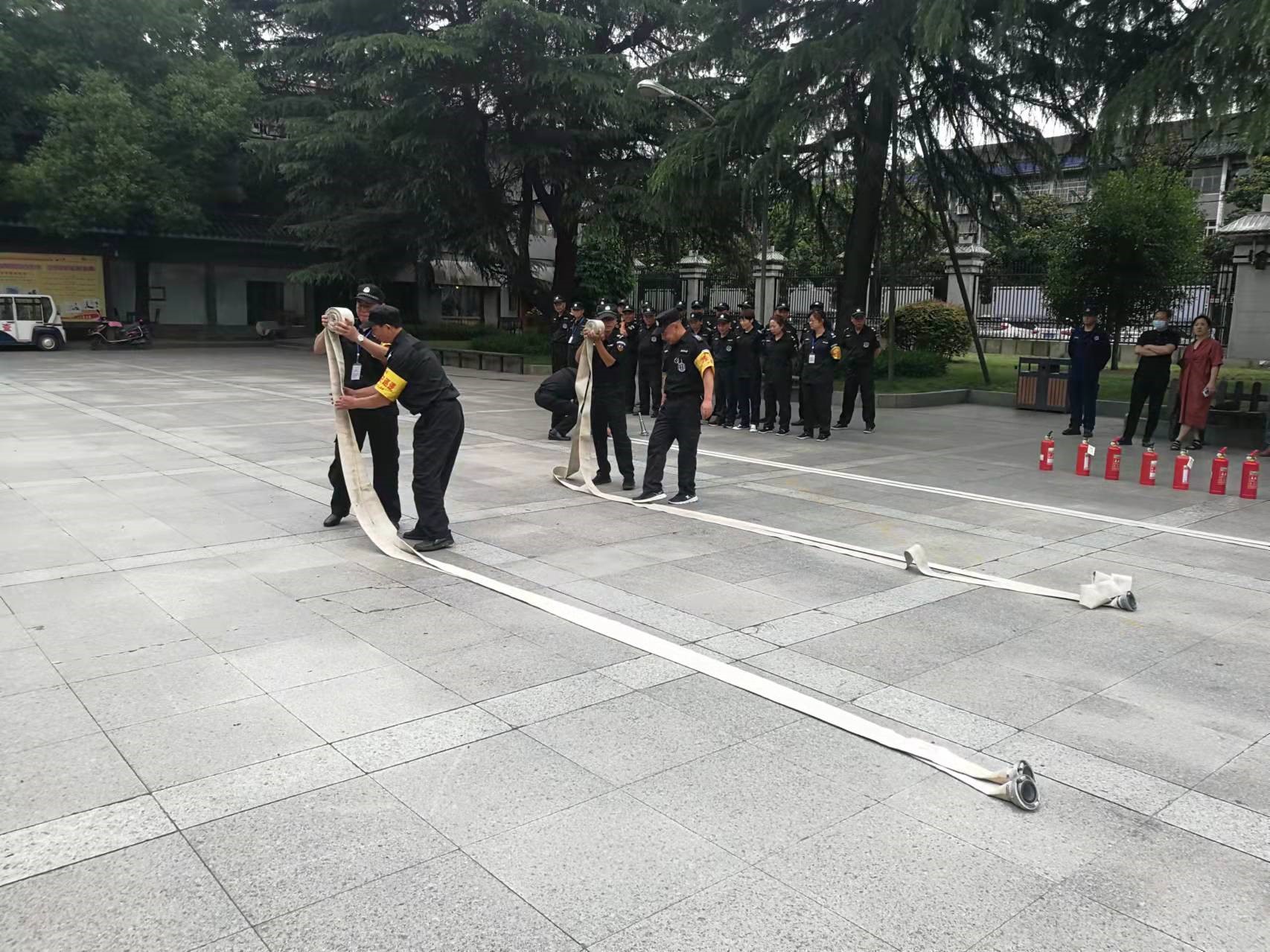 1734320336519770.jpg 5.jpg