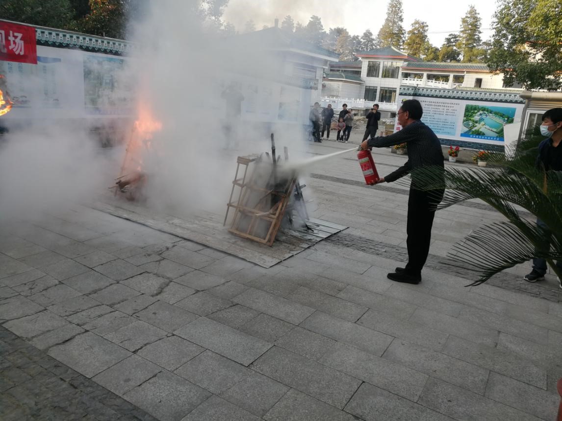 1734321064716348.jpg 4.jpg